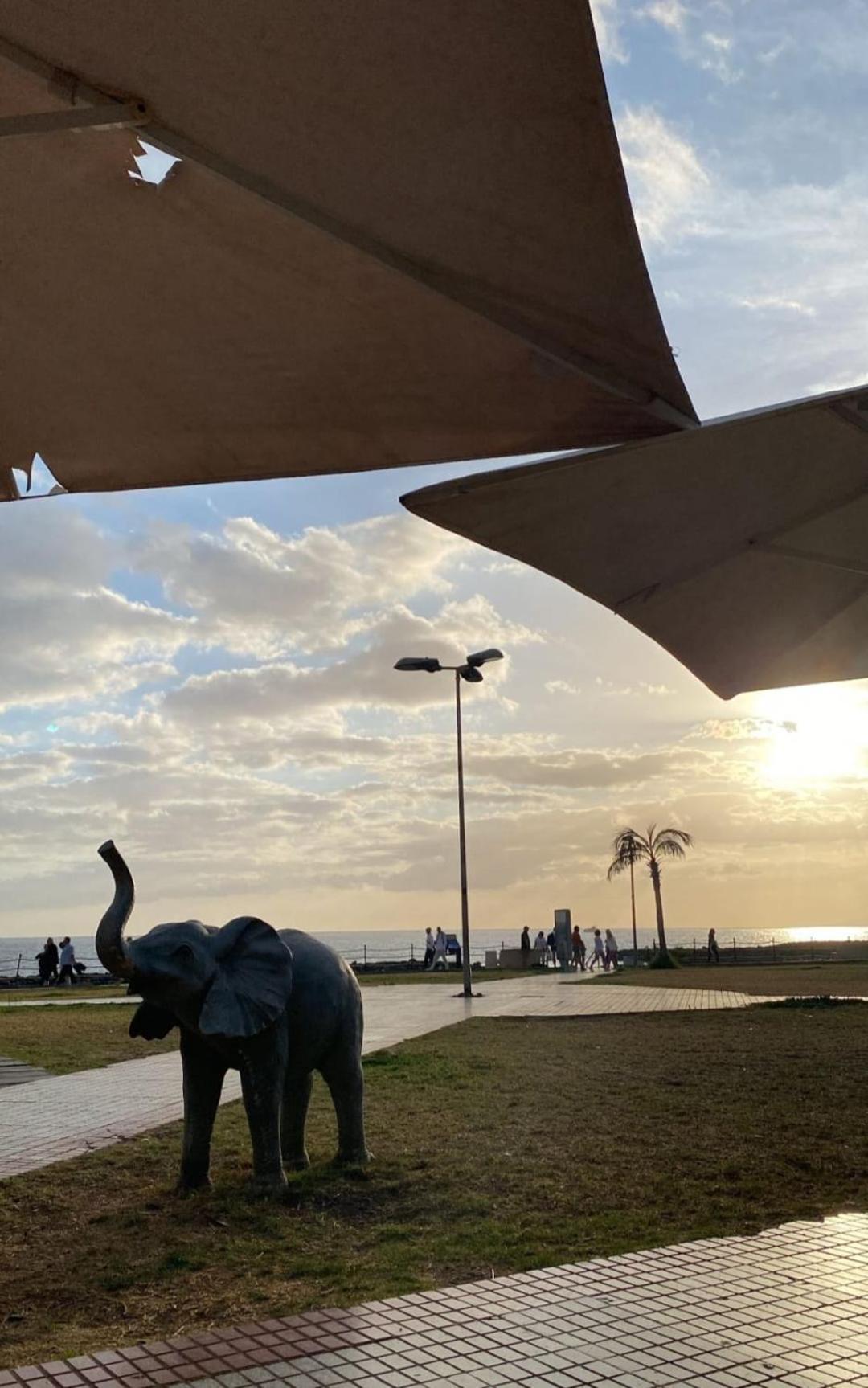 Studio Atlantic View Costa Adeje المظهر الخارجي الصورة